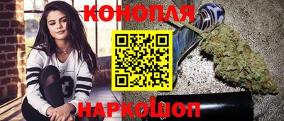 стаф Новокубанск