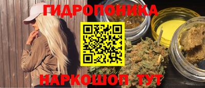 амф Новодвинск