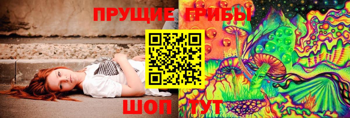 Тихорецк  Галлюциногенные грибы Cubensis  Вход с VPN 