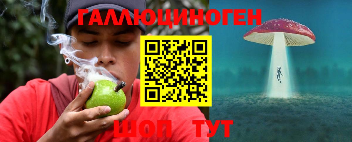 Галлюциногенные грибы GOLDEN TEACHER Тихорецк